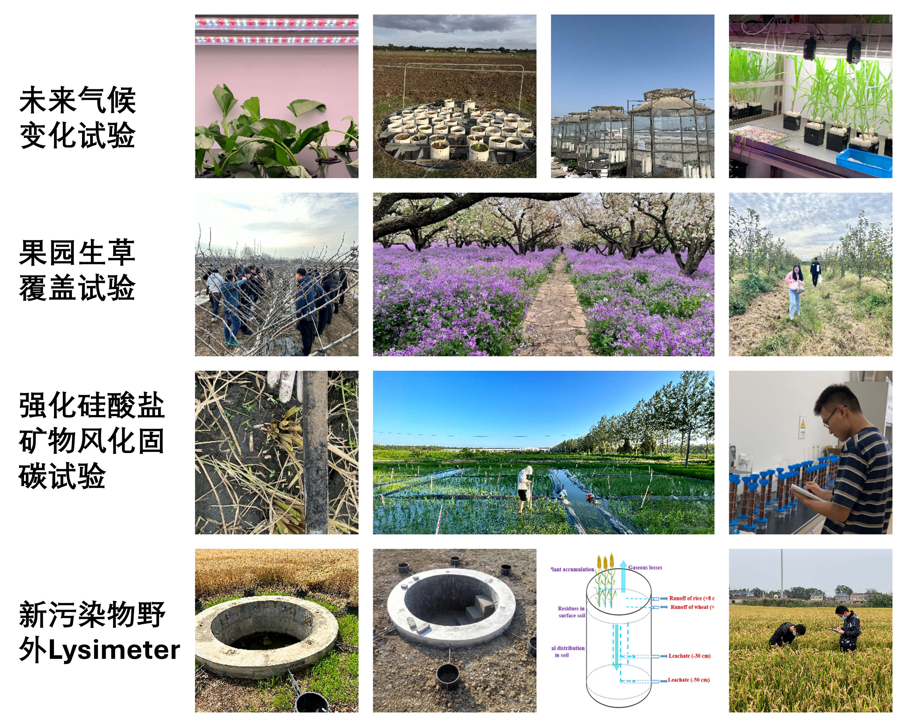 Picture1.png Picture1.png